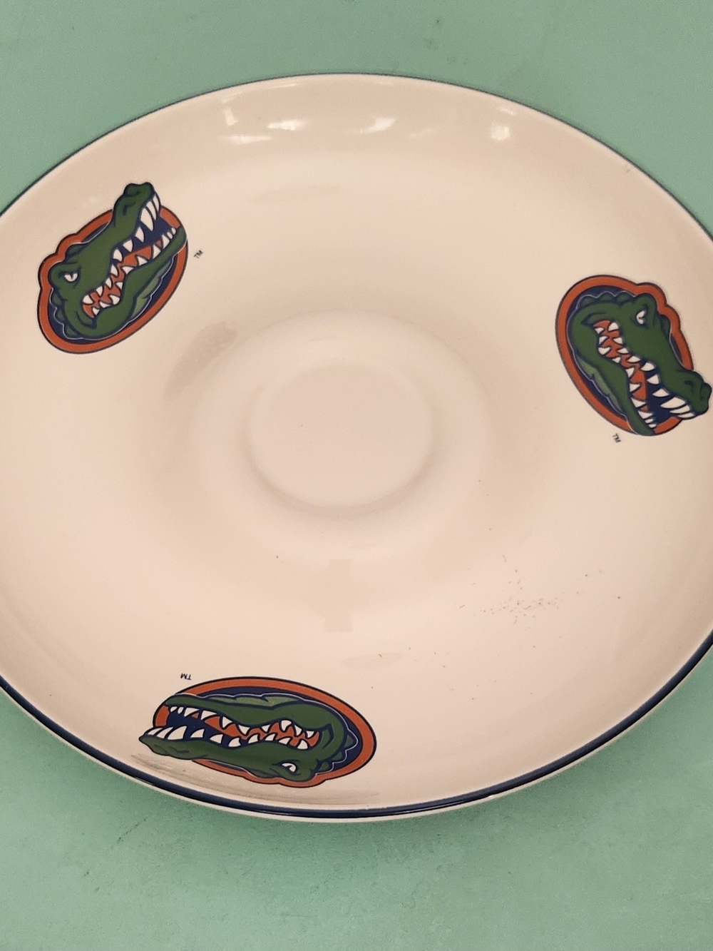 Vintage Pfaltzgraff Flordia Gator Serving Plate.